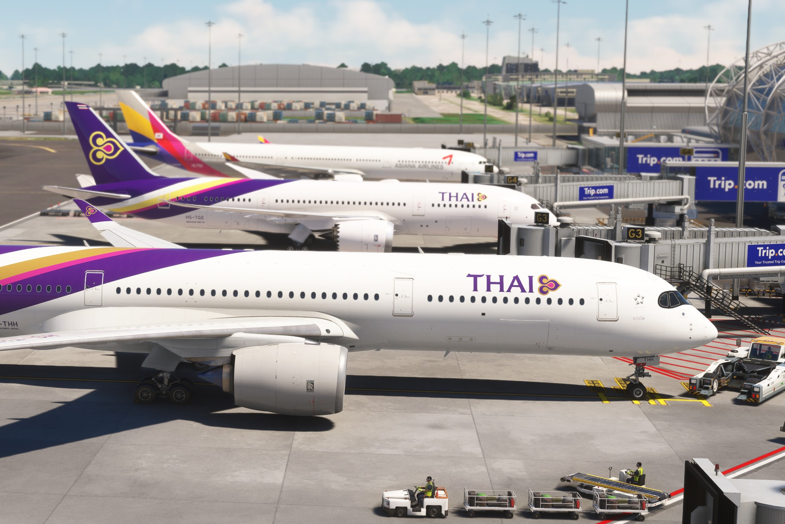 Microsoft Flight Simulator